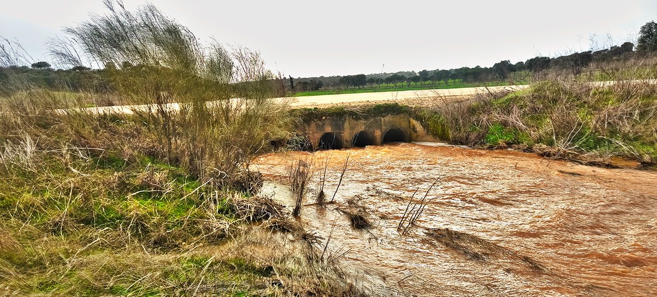 Nivel de las aguas en el reguero de Valseco el 8 de febrero de 2026