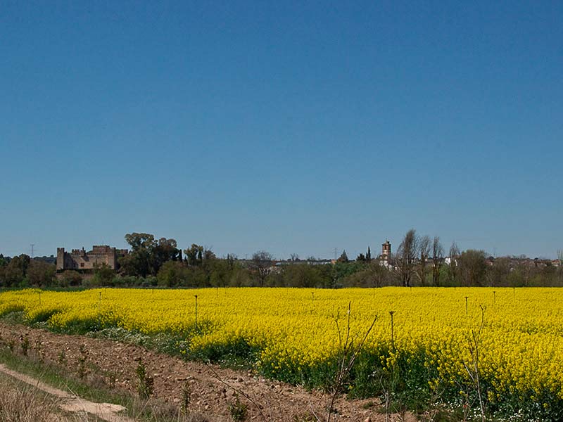Malpica de Tajo en primavera