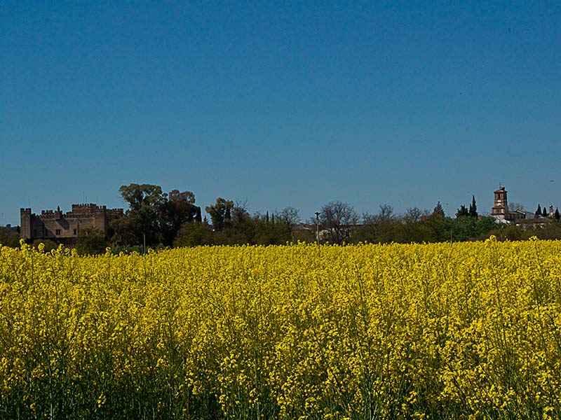 Malpica de Tajo en primavera
