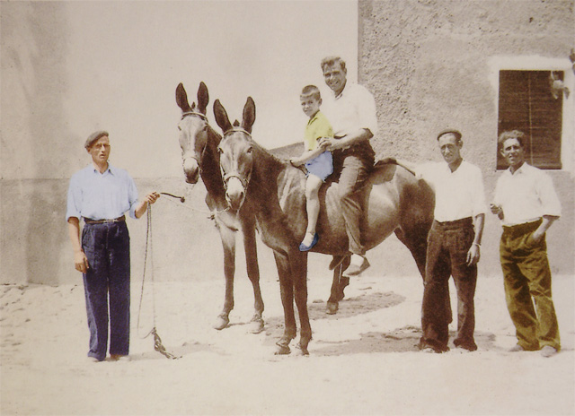 Mulero