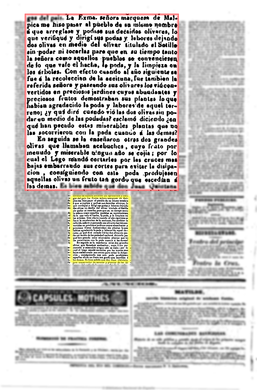 El Eco del comercio 10/10/1842, n.º 40, página 4, Demostración de la poda en el olivar del Sotillo de Malpica de Tajo propiedad del marqués del mismo nombre El Eco del comercio 10/10/1842, n.º 40, página 4, Demostración de la poda en el olivar del Sotillo de Malpica de Tajo propiedad del marqués del mismo nombre