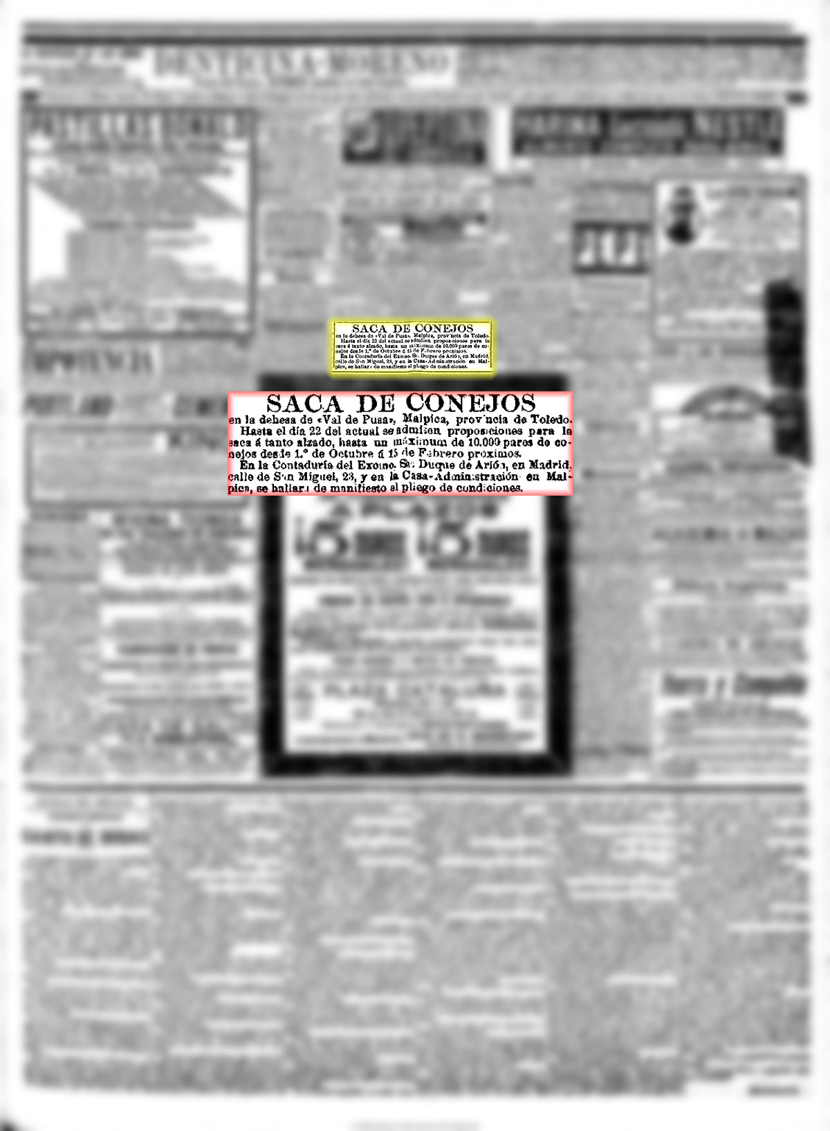 El Heraldo de Madrid, 15-9-1899, página 4. Saca de conejos en Valdepusa El Heraldo de Madrid, 15-9-1899, página 4. Saca de conejos en Valdepusa