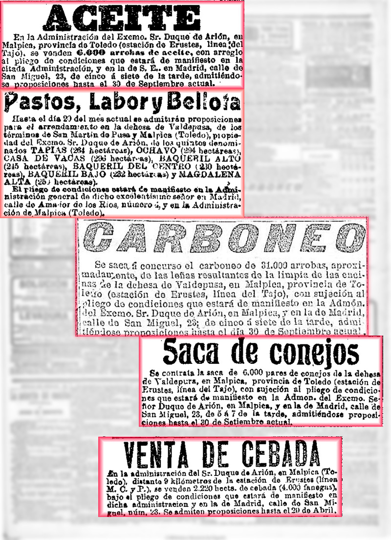 Concurso del picón de Valdepusa Concurso del picón de Valdepusa