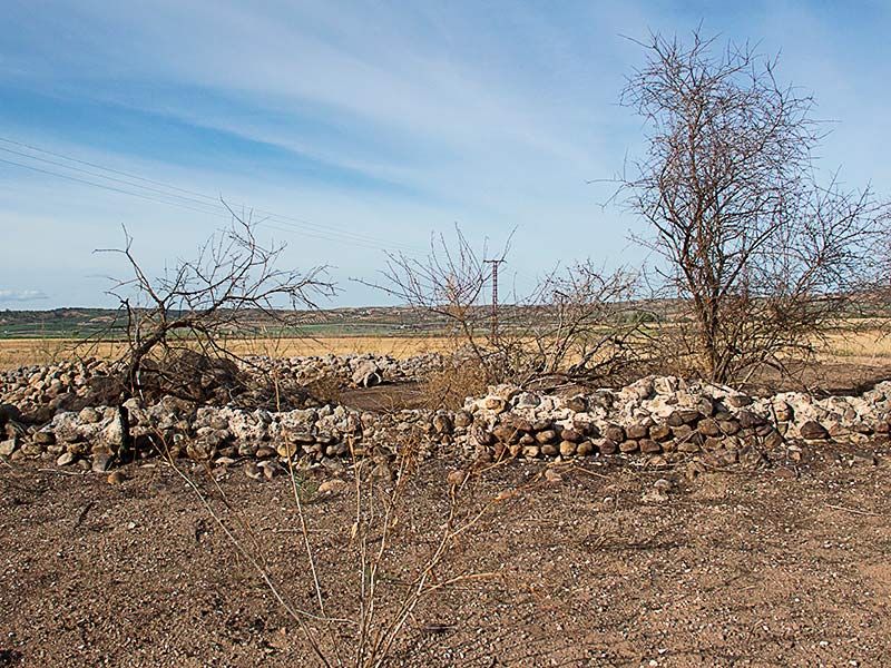 Panorámica de la supuesta iglesia visigoda de Las Tamujas en Malpica de Tajo