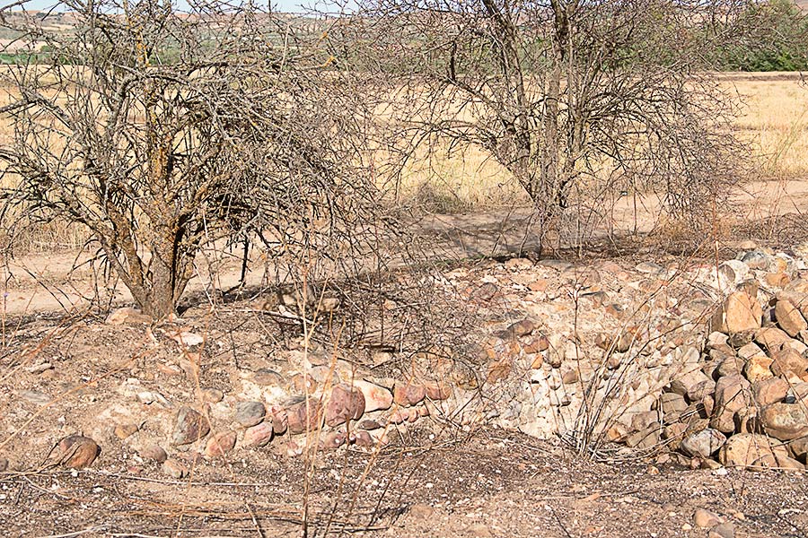 Vista parcial de la pared norte de la supuesta iglesia visigoda de Las Tamujas en Malpica de Tajo