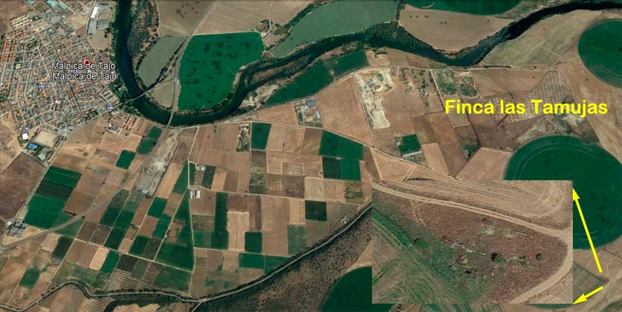 Localización de la segunda construcción tardorromana de Las Tamujas en Malpica de Tajo