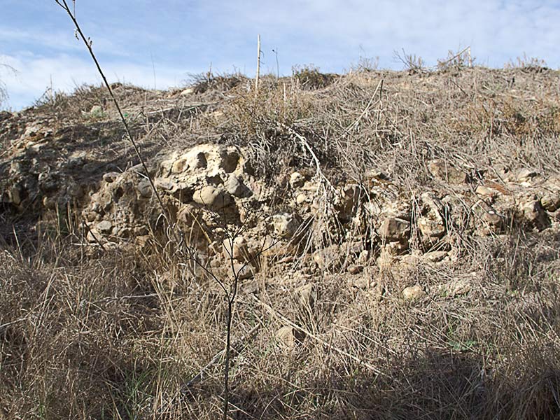Restos que yacen en el soto del Cedena en las Tamujas de Malpica de Tajo