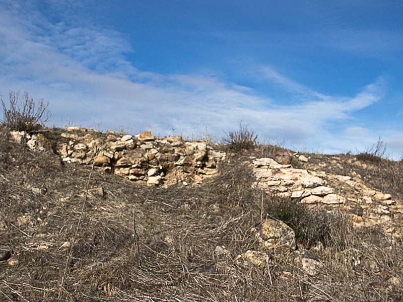 Restos que yacen en el soto del Cedena en las Tamujas de Malpica de Tajo