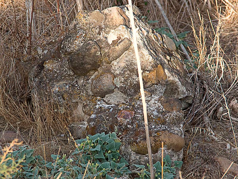 Restos que yacen en el soto del Cedena en las Tamujas de Malpica de Tajo