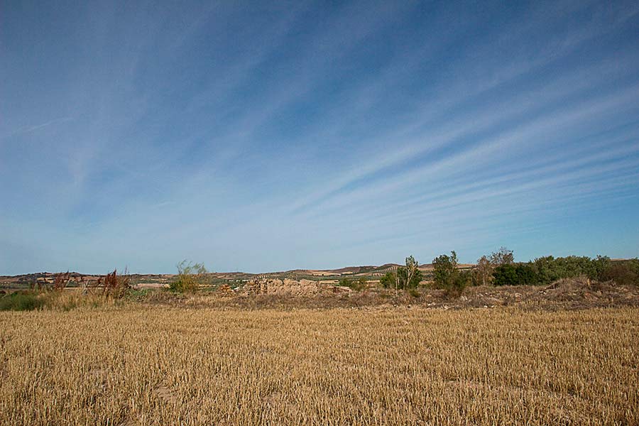 Vista a la altura de una persona de los restos arqueológicos de la villa romana de Las Tamujas en Malpica de Tajo