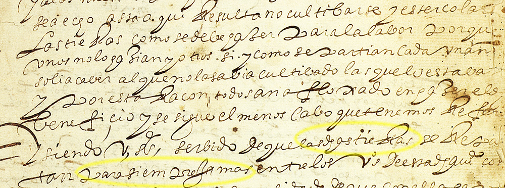 Recorte del documento de reparto de tierras en Malpica, año 1638 Recorte del documento de reparto de tierras en Malpica, año 1638