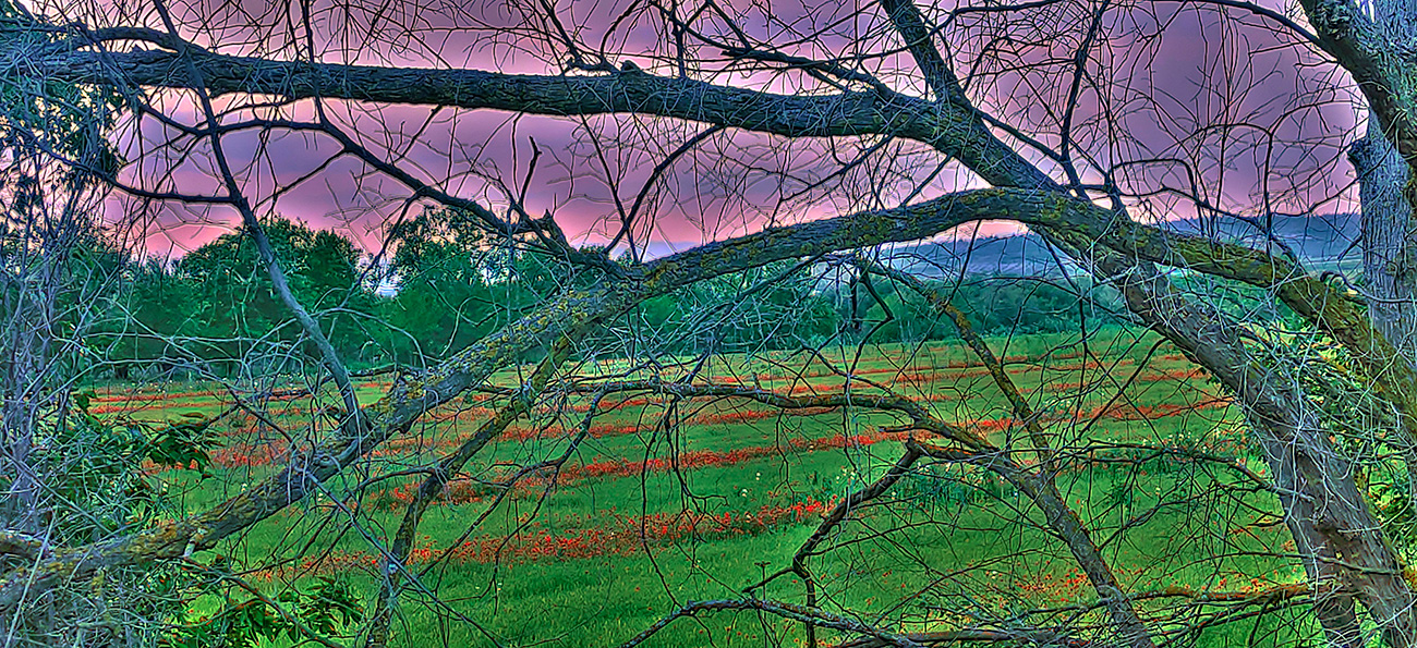 Puesta de sol en Malpica de Tajo (11/05/22) - 3 Atardecer en Malpica de Tajo el 11 del 05 de 2022 -3