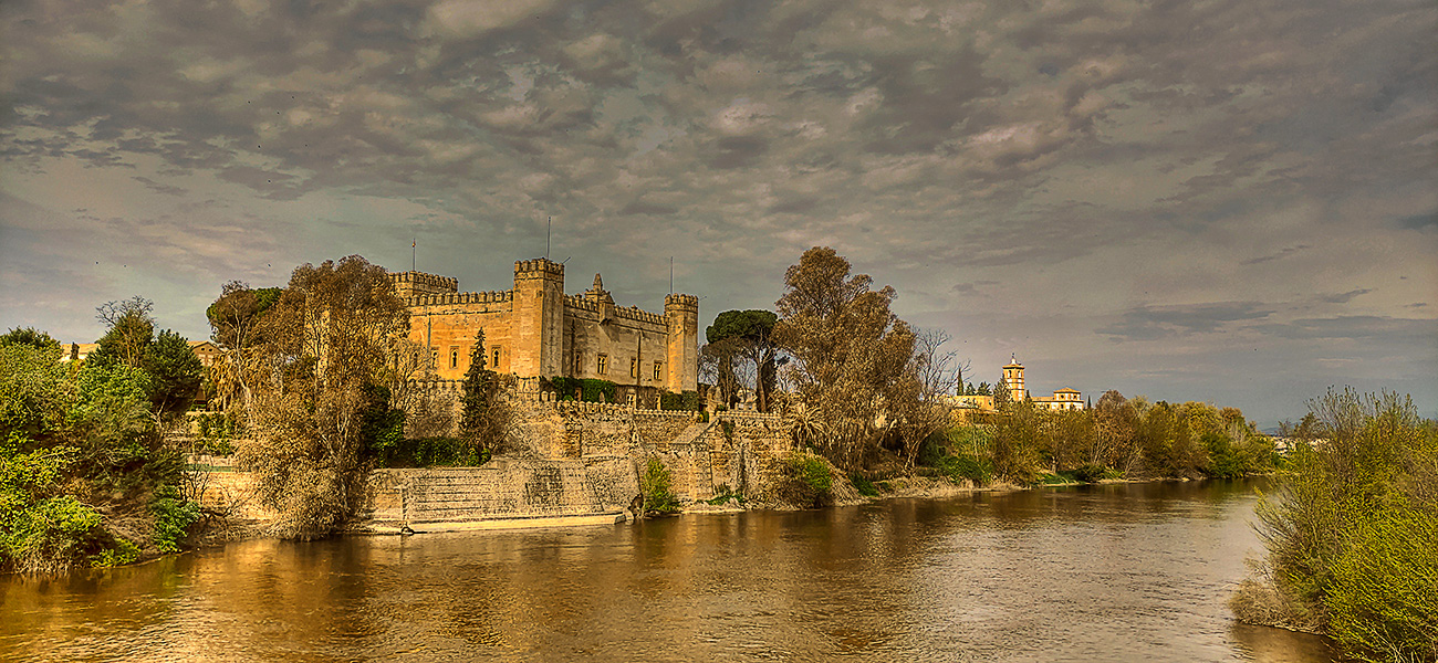 Castillo de Malpica de Tajo
