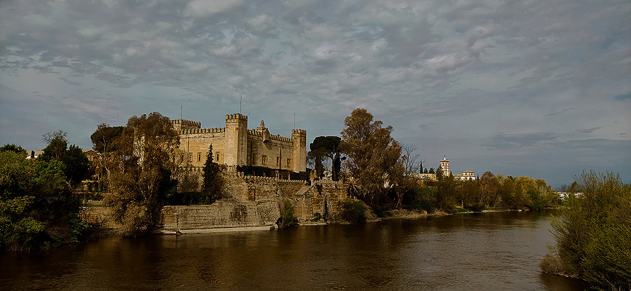 Castillo de Malpica de Tajo