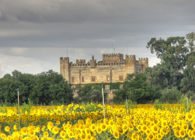 Castillo de Malpica de Tajo