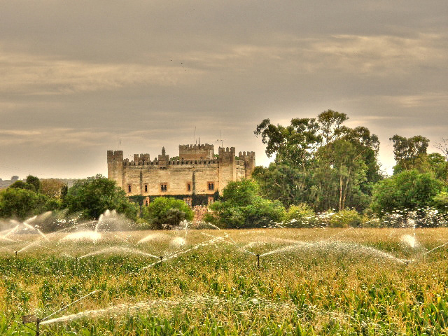 Castillo de Malpica de Tajo al fondo del maíz