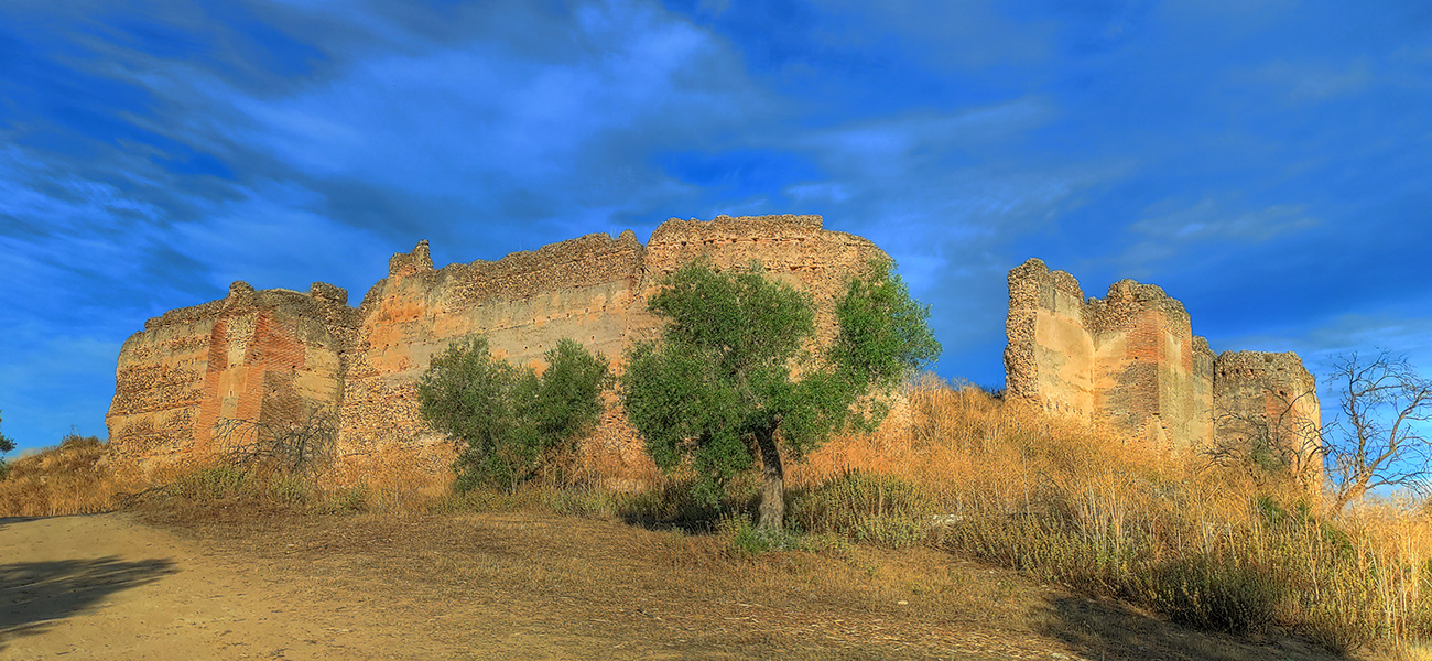 Castillo Villaba esquina este- Cebolla - Malpica de Tajo