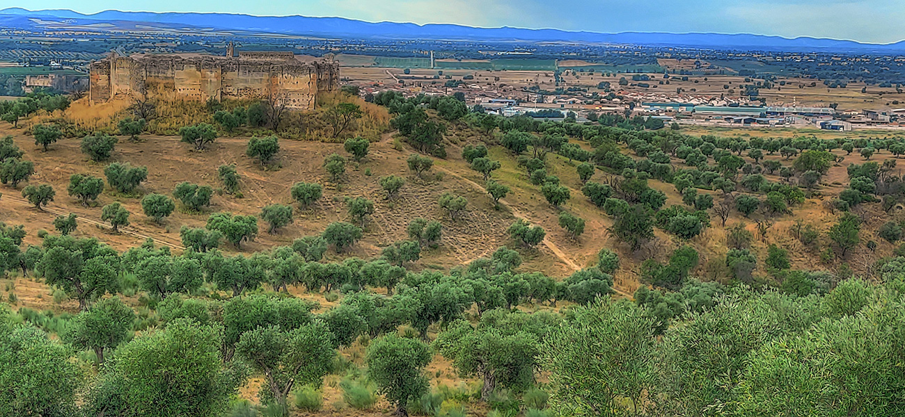 Castillo Villaba. Vista norte - Cebolla - Malpica de Tajo