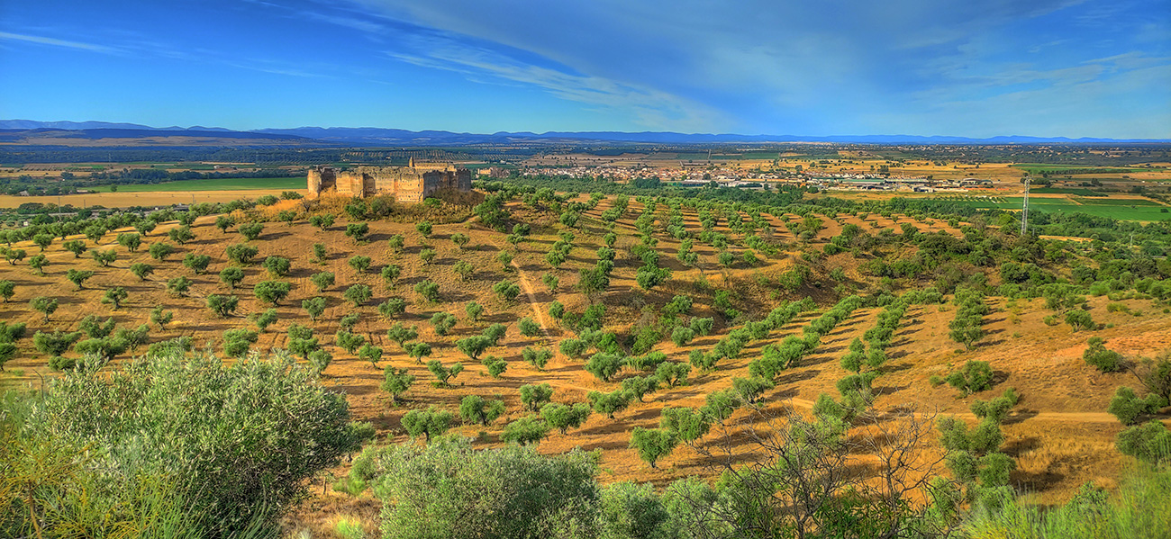 Vista del Castillo Villaba desde el norte (Cebolla - Malpica de Tajo)