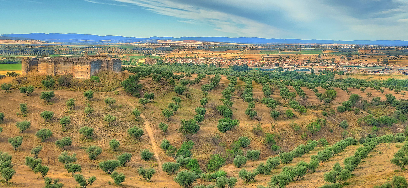 Vista del Castillo Villaba desde el norte (Cebolla - Malpica de Tajo)