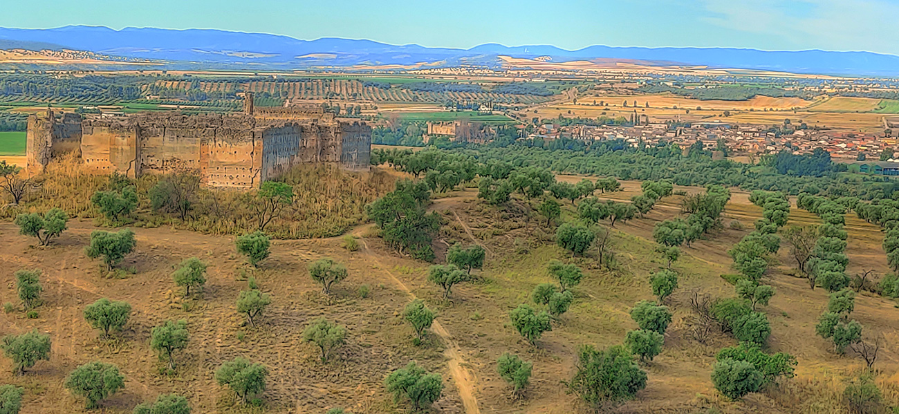 Vista del Castillo Villaba desde el norte (Cebolla - Malpica de Tajo)