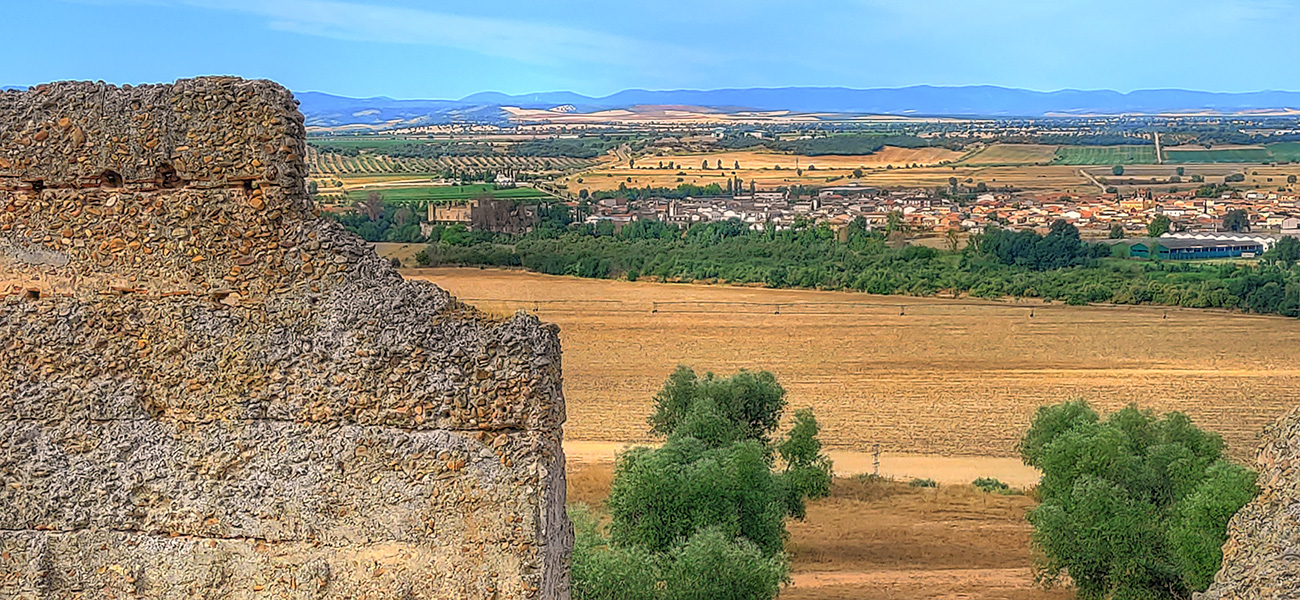 Vista desde el Castillo Villaba - Cebolla - Malpica de Tajo