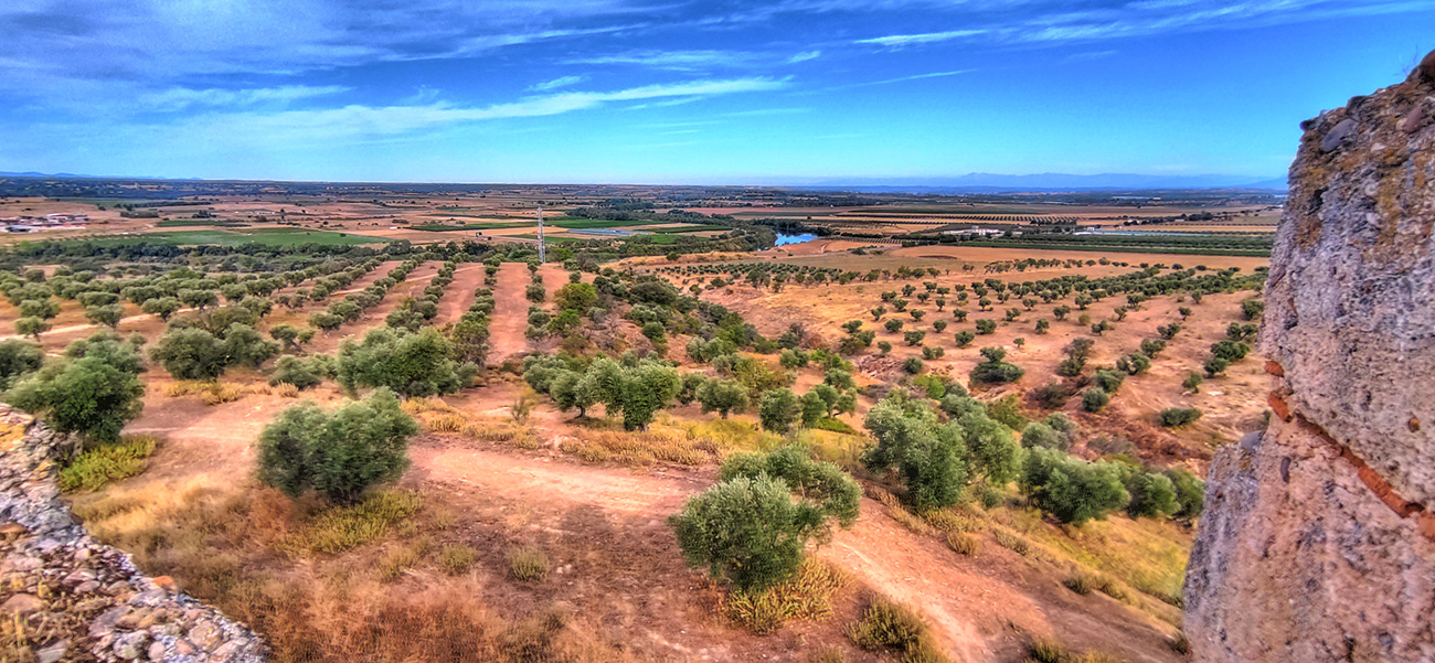 Vista desde el Castillo Villaba - Cebolla - Malpica de Tajo
