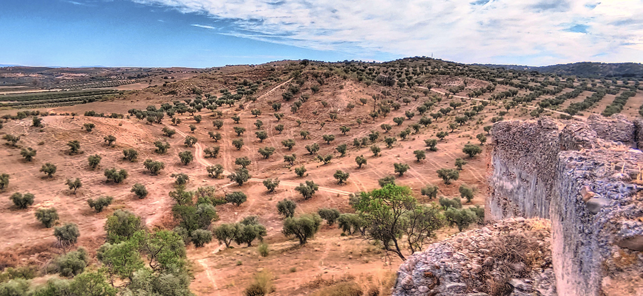 Vista norte desde la muralla del Castillo Villaba - Cebolla - Malpica de Tajo