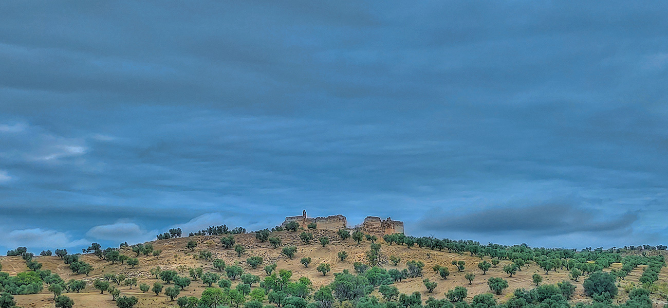 Vista del Castillo Villaba desde la rotonda de Malpica de incorporacin a la CM-4000