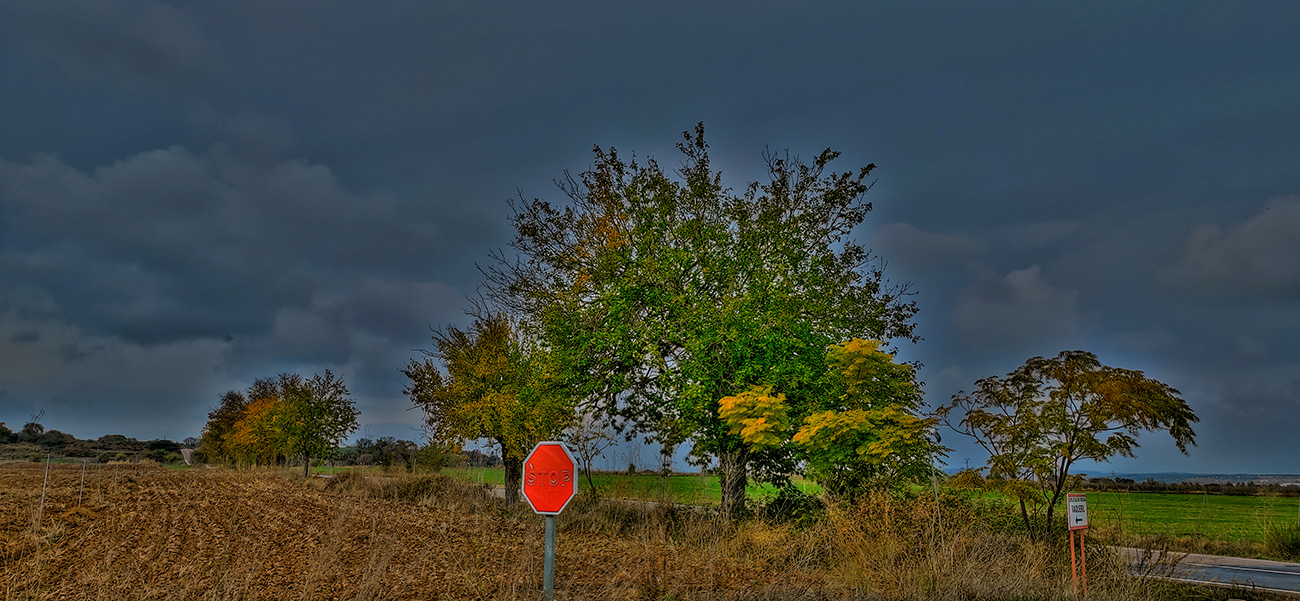 Cruce de la carretra a Bernuy con el camino de la márgen izquierda del arroyo Pusa en Malpica de Tajo Cruce de la carretra a Bernuy con el camino de la márgen izquierda del arroyo Pusa en Malpica de Tajo