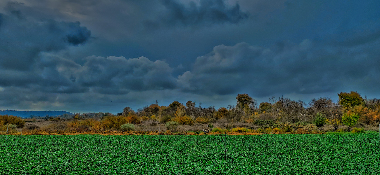Panorámica desde la carretera a Bernuy de la márgen izquierda antes del puente sobre el arroyo Pusa en Malpica de Tajo Panorámica desde la carretera a Bernuy de la márgen izquierda antes del puente sobre el arroyo Pusa en Malpica de Tajo