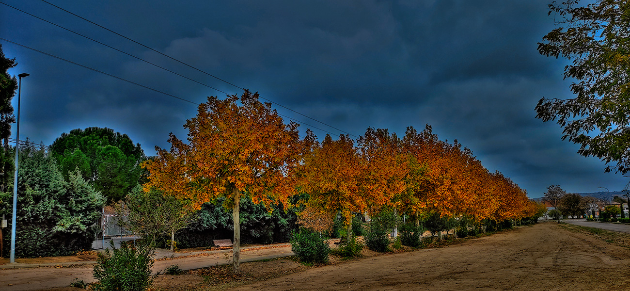El paseo de la calle Carretera junto al campo de fútbol y la piscina en Malpica de Tajo El paseo de la calle Carretera junto al campo de fútbol y la piscina en Malpica de Tajo