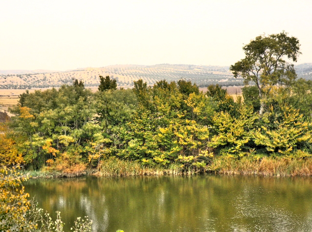 Tonos amarillos, verdes y ocres del otoño en Malpica de Tajo Tonos amarillos, verdes y ocres del otoño en Malpica de Tajo