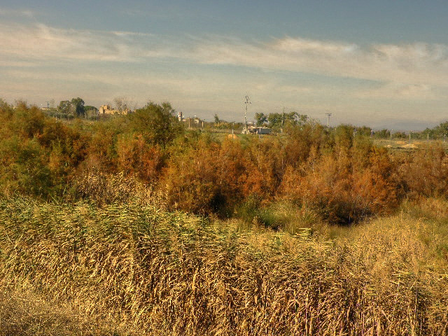 Uno de los sacatierras en otoño (Malpica de Tajo) Uno de los sacatierras en otoño (Malpica de Tajo)