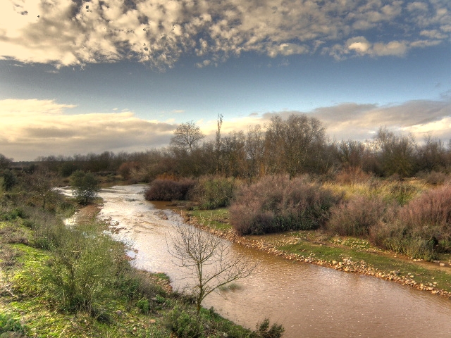Soto del Torrejón