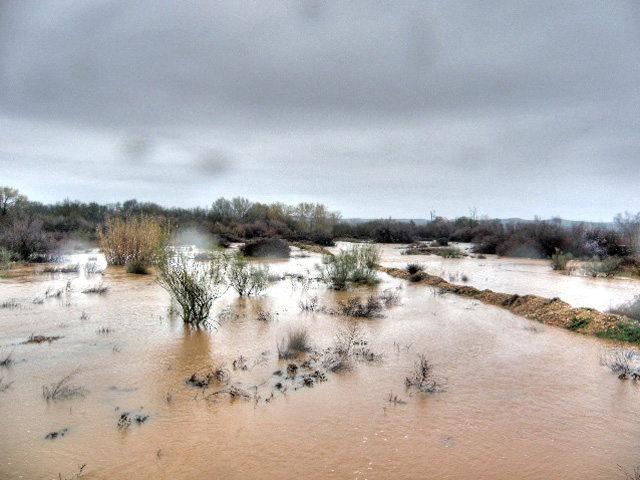 El soto del Torrejón en la crecida del 2010