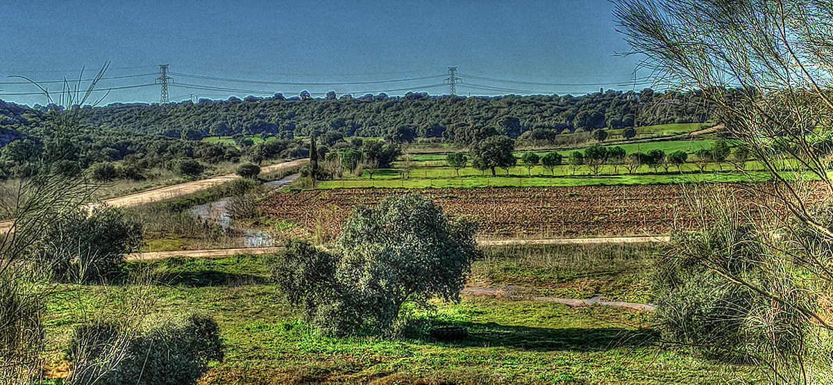 El reguero de Valseco en Malpica de Tajo, el 20-01-24