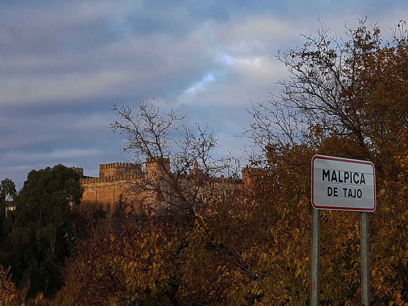 Castillo de Malpica de Tajo 17