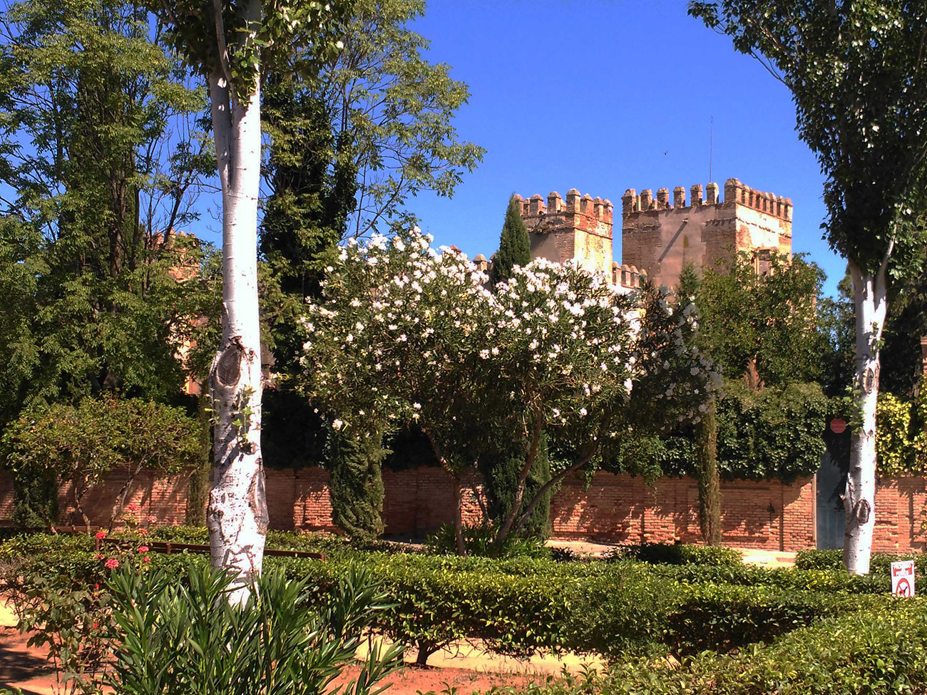 Castillo de Malpica de Tajo 18