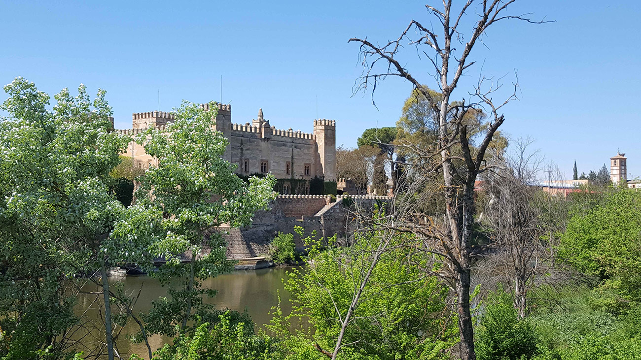 Castillo de Malpica de Tajo 26