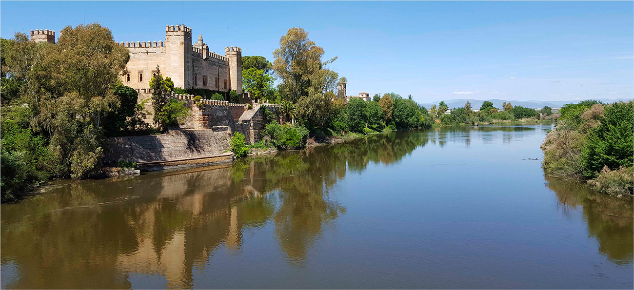 Castillo de Malpica de Tajo 32