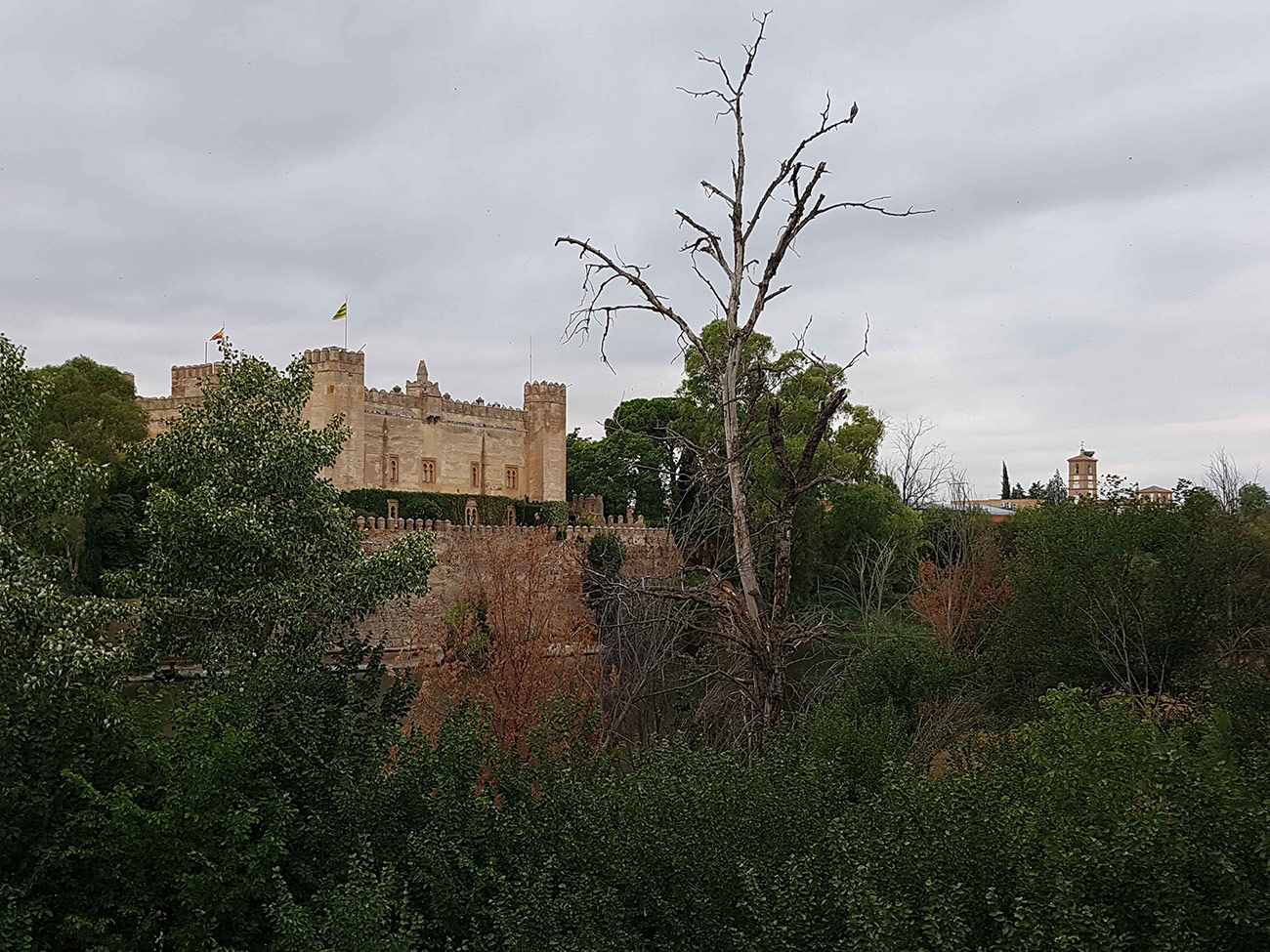 Castillo de Malpica de Tajo 33