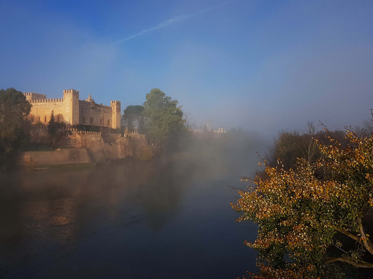 Castillo de Malpica de Tajo 39