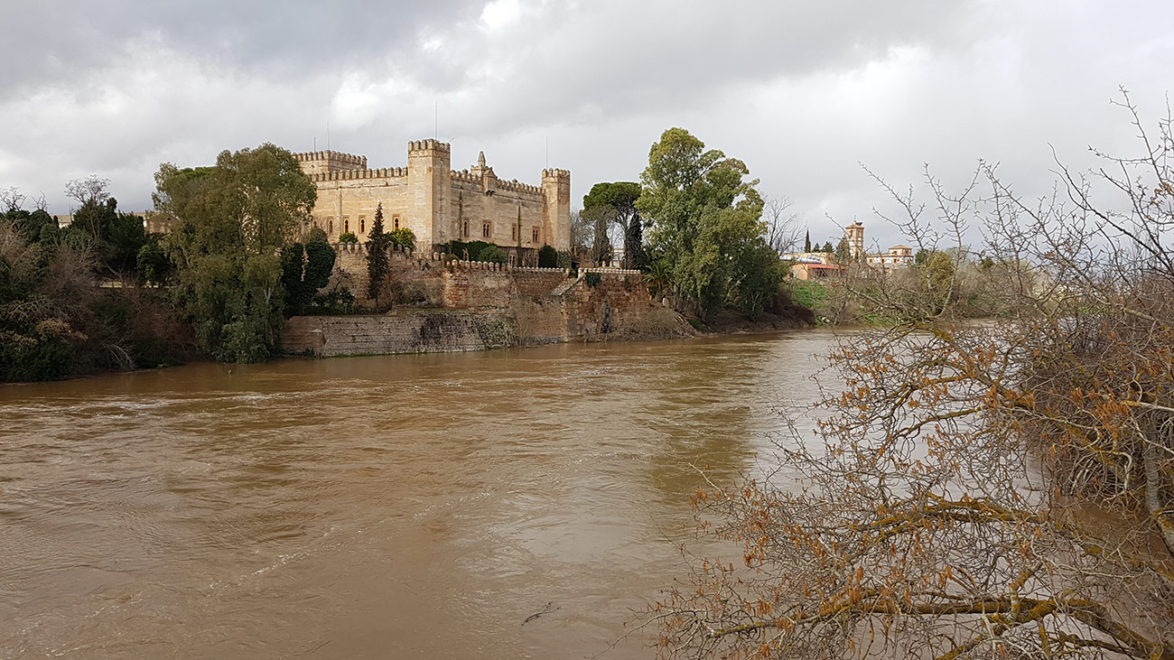 Castillo de Malpica de Tajo 