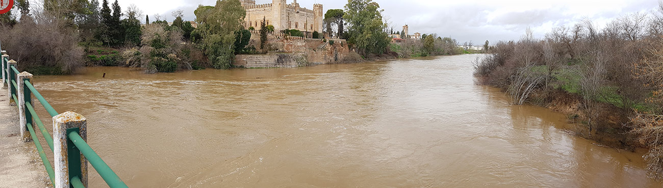 Castillo de Malpica de Tajo 