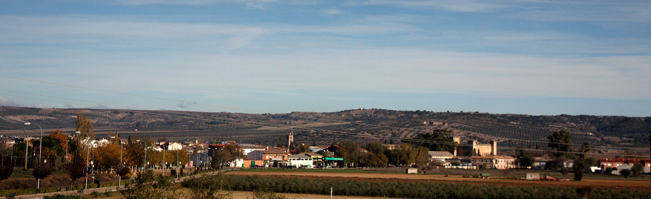 Panorámica de Malpica de Tajo 