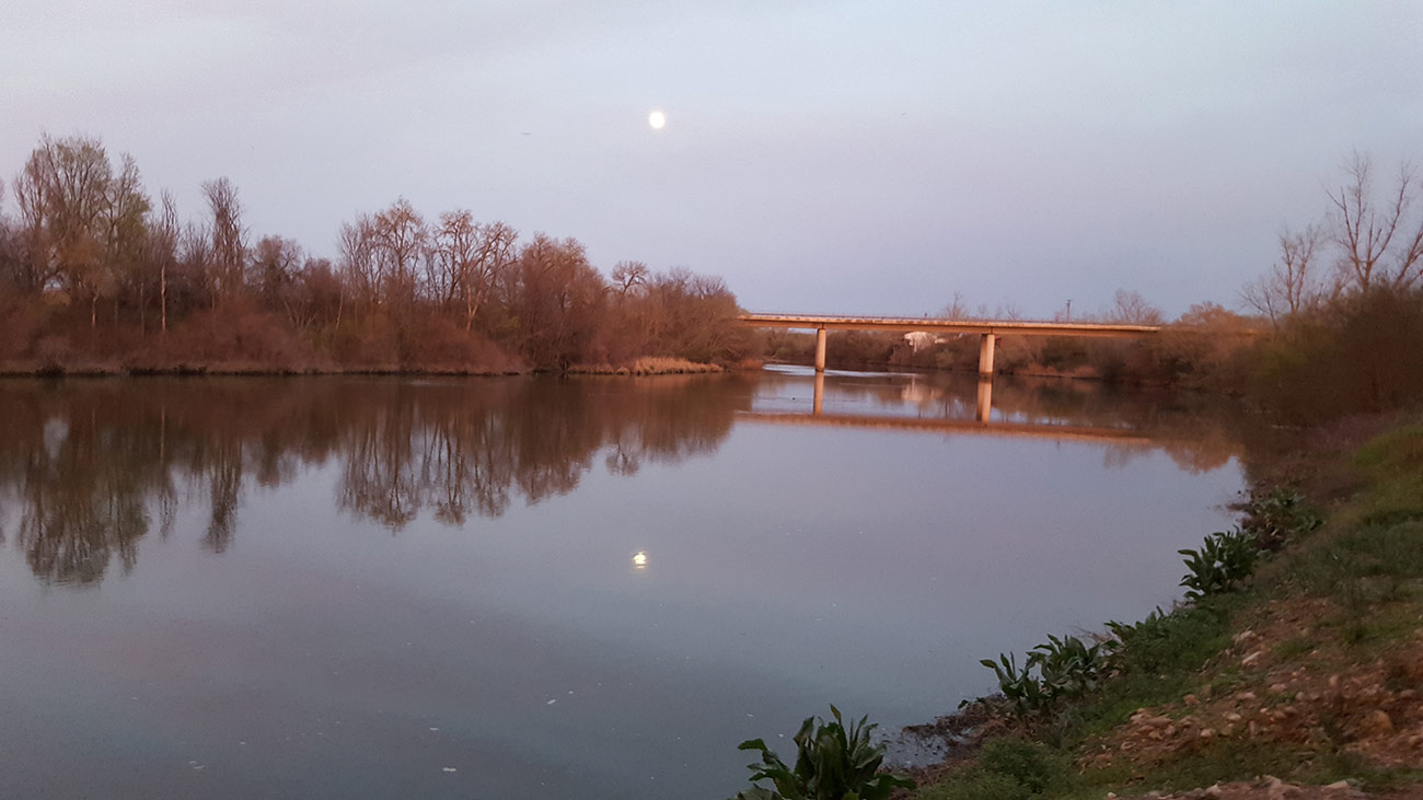 Puente nuevo de Malpica de Tajo 