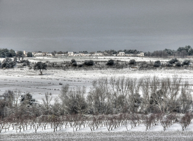 El soto del Pusa y Bernuy al fondo, nevados