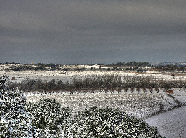Nevada en el soto del arroyo Pusa, Malpica de Tajo