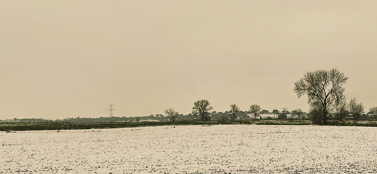 El término de Malpica de Tajo nevado